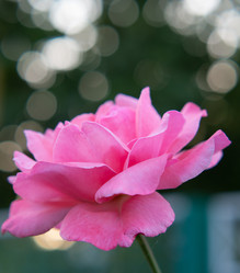 Similar image 21357465