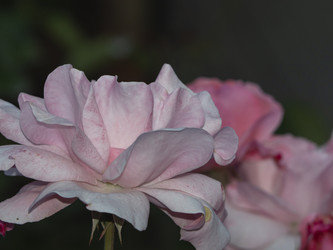 Similar image 21357467