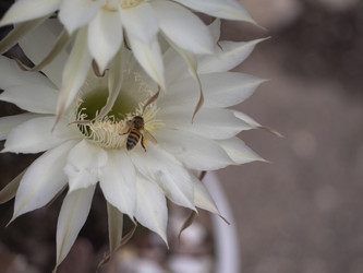 Similar image 21357470