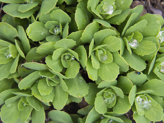 Similar image 21357474