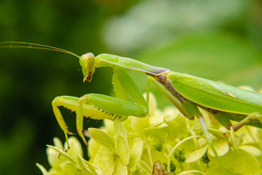 Similar image 21358165