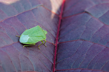 Similar image 21358166