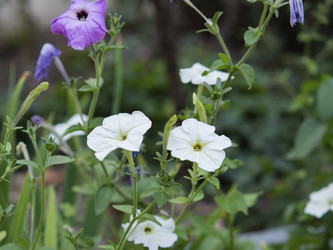 Similar image 21357476