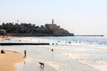 Similar image 21357478