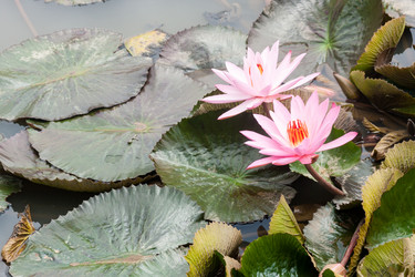 Similar image 21357488