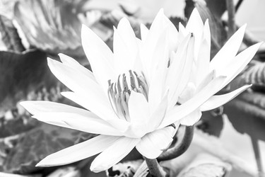 Similar image 21357489