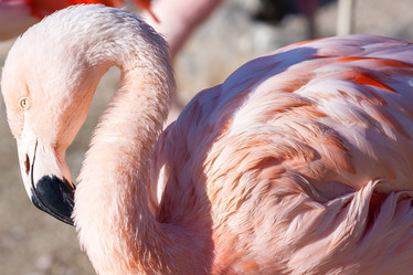 Similar image 21357490