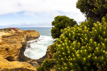 Similar image 21357494