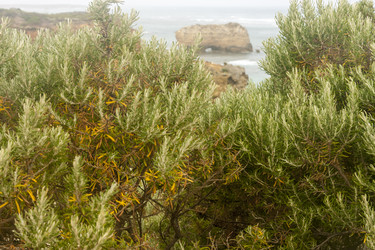 Similar image 21357495