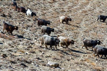 Similar image 21357518