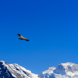 Similar image 21357519