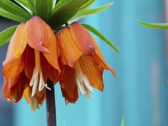 Similar image 21357481