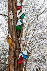 Similar image 21358192