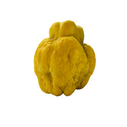 Similar image 21362420