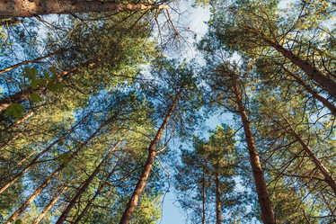 Similar image 21362429