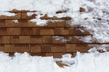 Similar image 21358261