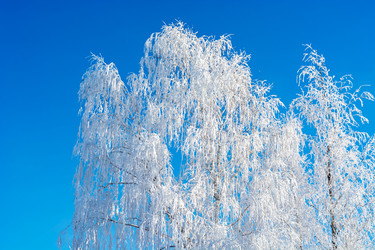 Similar image 21358262