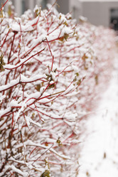 Similar image 21357943