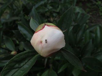 Similar image 21359306