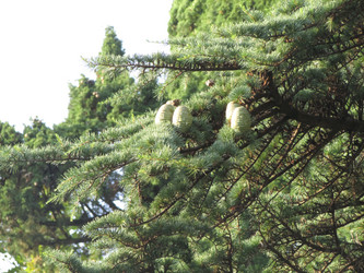 Similar image 21359309