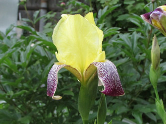 Similar image 21359310