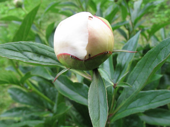 Similar image 21359313