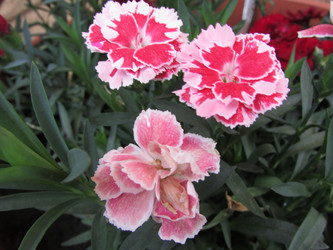 Similar image 21359316