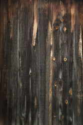 Similar image 21358063