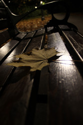 Similar image 21360565