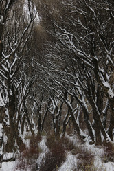 Similar image 21360566