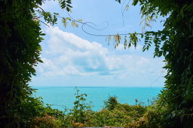 Similar image 21360659