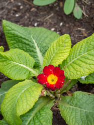 Similar image 21358066