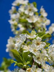 Similar image 21358068