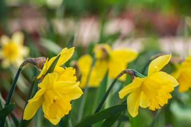 Similar image 21358070