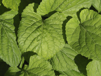 Similar image 21358071