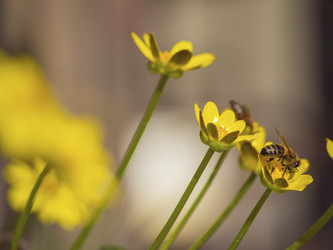 Similar image 21358077