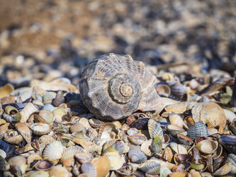 Similar image 21358080