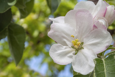 Similar image 21358083