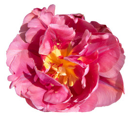 Similar image 21358084