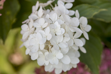 Similar image 21358273