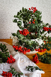 Similar image 21358275