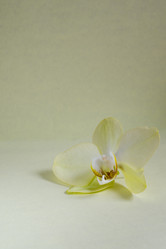 Similar image 21358688