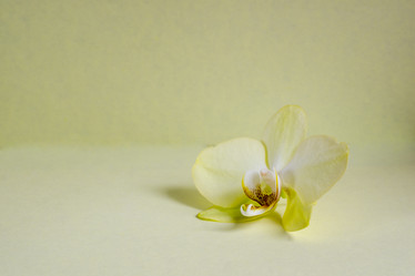 Similar image 21358689