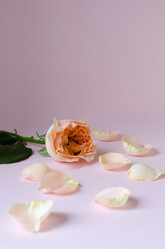 Similar image 21358690