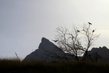 Similar image 21361015