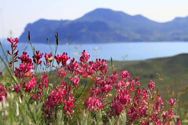 Similar image 21358693