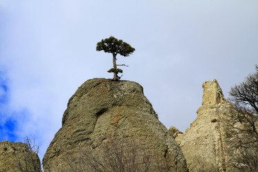 Similar image 21361016