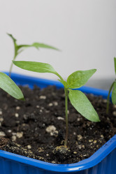 Similar image 21360662