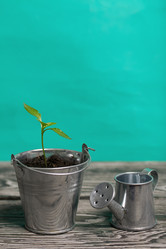 Similar image 21360681