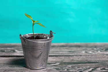 Similar image 21360682